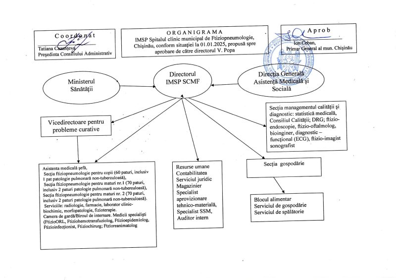 Organigrama